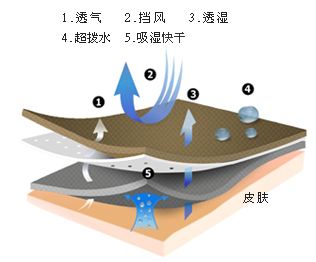 TPE無孔防水透濕膜面市